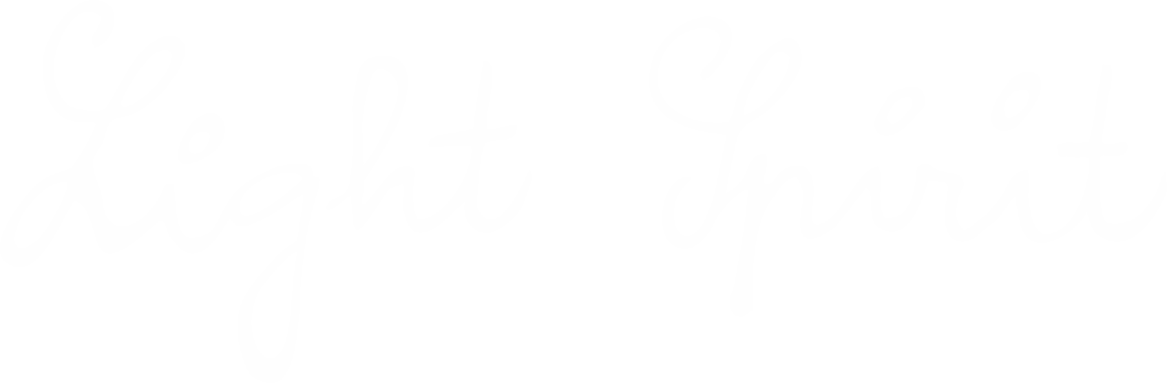 Light Spirit